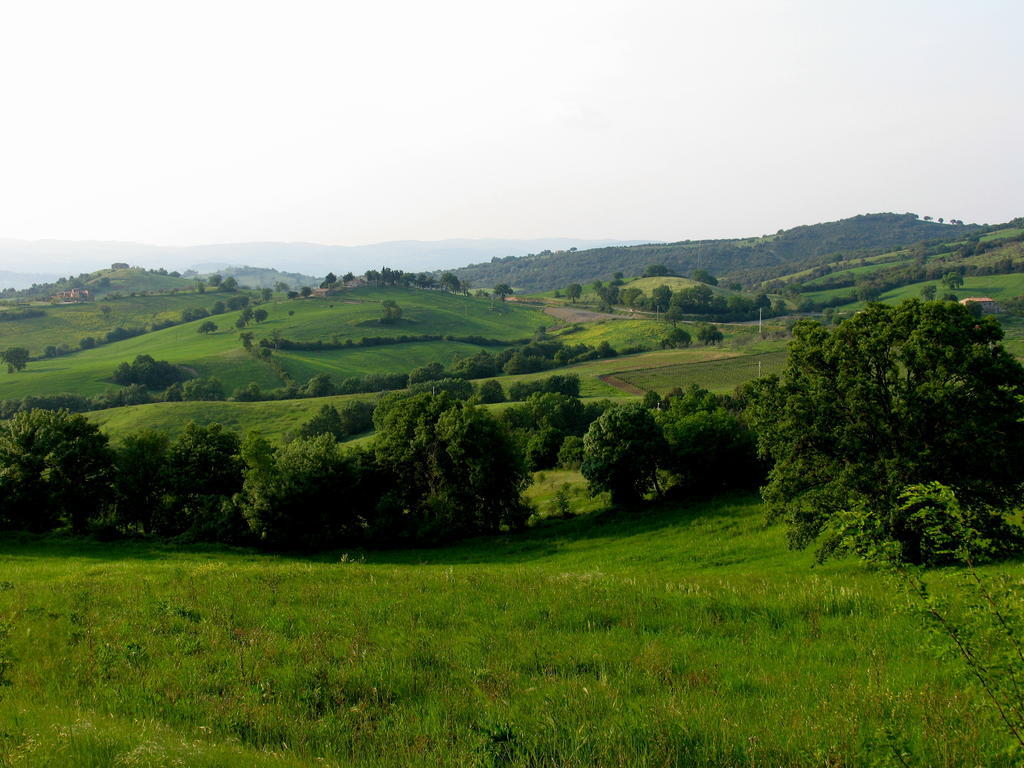 Poggio Della Quercia Villa Manciano Eksteriør bilde